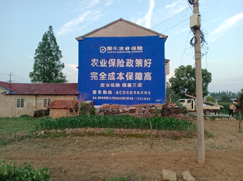 张家港墙体广告的优劣势你知道吗？